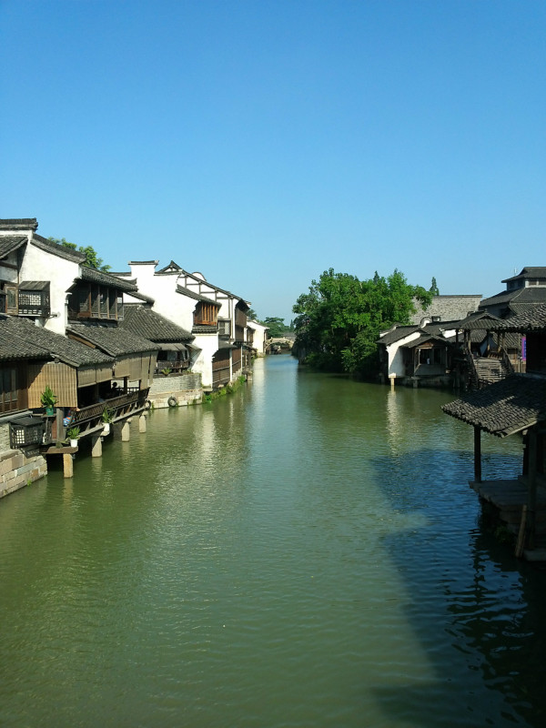 浙江，绿色发展的先锋之路