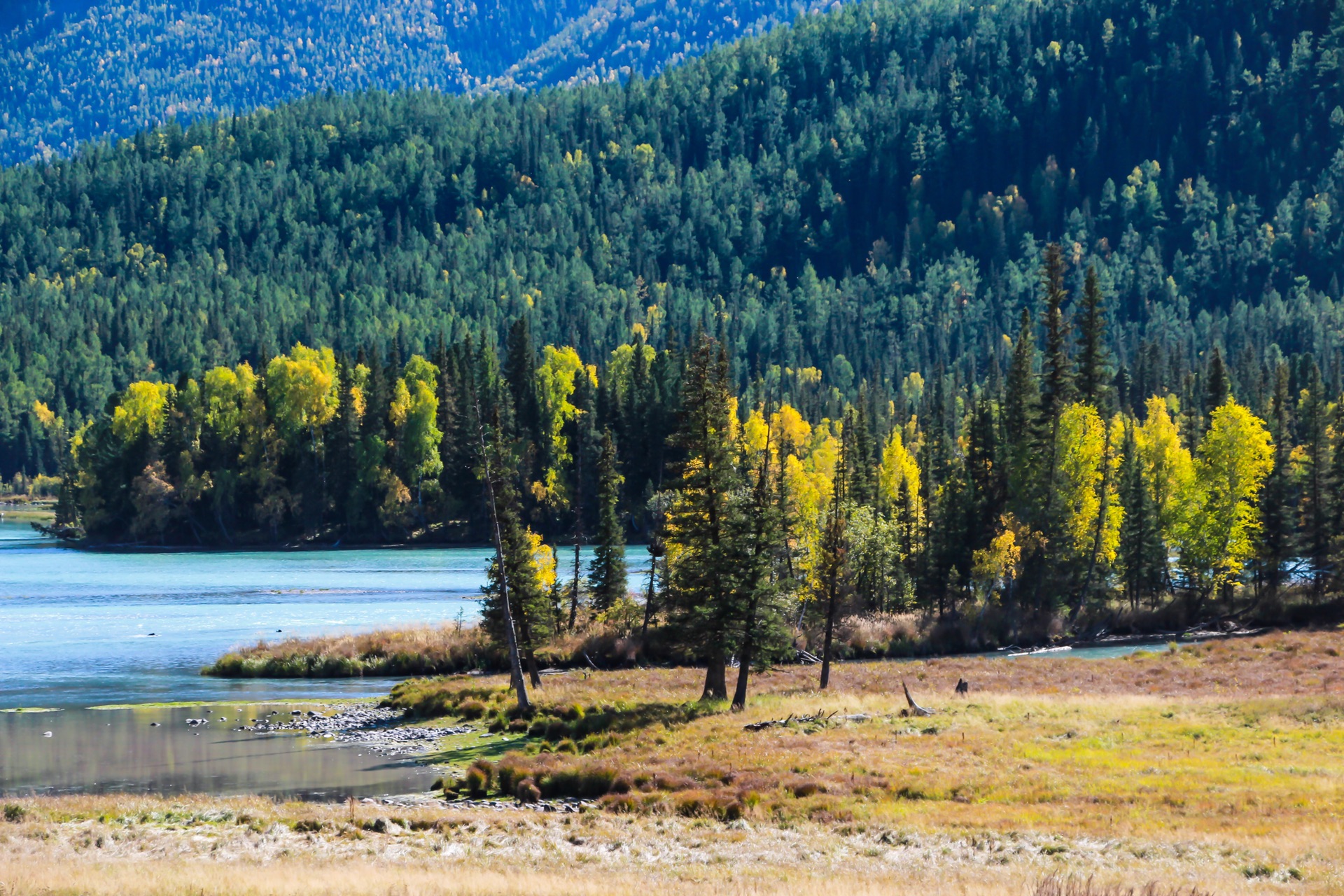 新疆，多元文化交融下的绿色发展新篇章